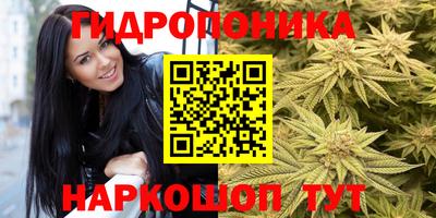 альфа пвп Камышлов