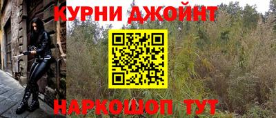 прущие грибы Кандалакша