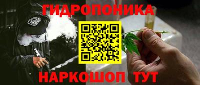 прущие грибы Кандалакша